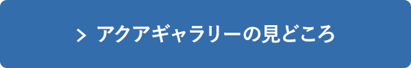 アクアギャラリーの見どころ